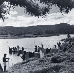 Students of the Theological school stretching a fish net in the river in Houailou