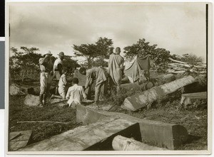 Preparing tree logs for transport, Ayra, Ethiopia, ca.1929-1931