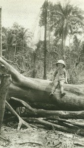 Missionary child on a tree, in Gabon