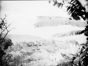 Mission station, Gonja, Tanzania, ca.1913-1938