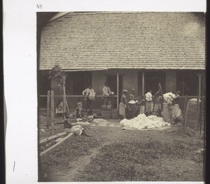 Anum. - Cleaning cotton and counting cowries in front of the trading post