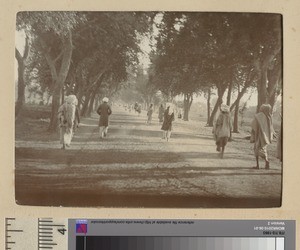 Street scene, Sialkot, ca.1890