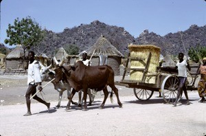 Street scene, Mokolo, Far North Region, Cameroon, 1953-1968