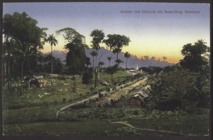 A view of the Buea-Road in Victoria District, Cameroon