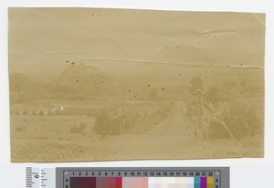 View towards Mount Mulanje, Zomba, Malawi, ca.1910