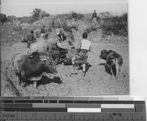 Chinese workers at Luoding, China