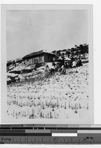 Students on their way to "The University," Chinnampo, Korea, ca. 1930-1939