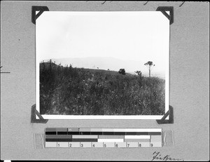 Typical grassland in Safwa highland, Nyasa, Tanzania, 1936