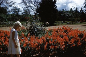 Norwegian girl by flowerbed, Ngaoundéré, Adamaoua, Cameroon, 1953-1968