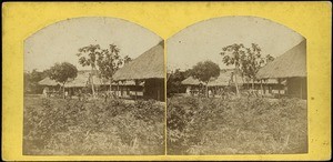 Carpenters workshop, Wegbe West Africa. (In the foreground a young coffee plantation)