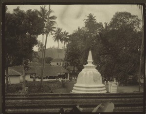 Aussicht vom Tempel des heiligen Zahnes in Kandy; heiliger Banyan tree