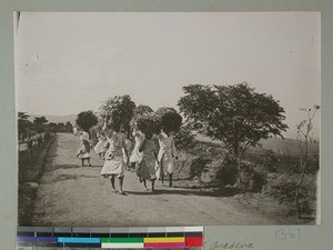 Women carrying fire-wood, Ambohimasina, Madagascar, 1906