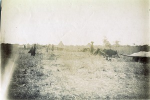 Camp, in Africa