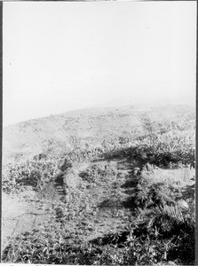 Mount Kibo, Moshi, Tanzania, ca. 1901-1910