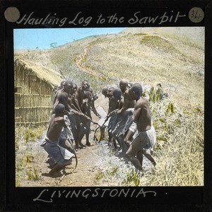 "Hauling Log to the Sawpit, Livingstonia", Malawi, ca.1910