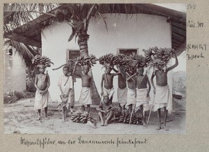 Mission pupils, returning home from the banana-harvest, 1900-1909
