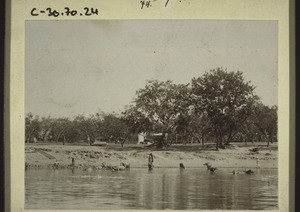 Pond near Hubli. India