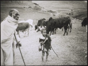 Cattle herders on a flat-topped mountain with indian