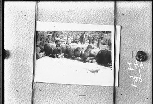 Initiation ceremony, Shilouvane, South Africa, ca. 1930