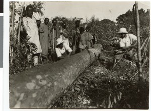 Sawing of a Hoomii log, Bonaya, Ethiopia