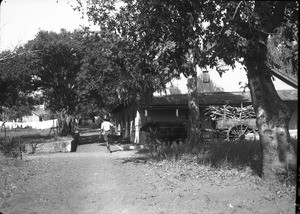 Ox-drawn cart, southern Africa