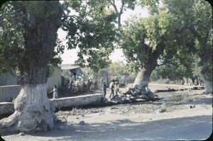 Men and woman in a yard