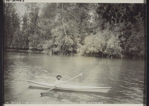 A government official travelling through the mangroves in a kayak-boat, Cameroon