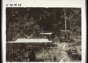 Saw-pits in the forest near Bombe (Cameroon). Timber for building the house