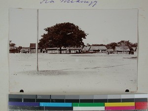 Houses in the Midongy Ouest district, Betsileo, Madagascar, ca.1900