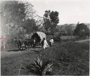 Carters, in Madagascar