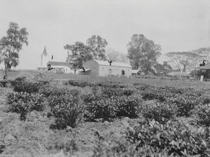 Assam, Nordindien. Mornai Tehave, 1931-32. 1: Kirken; 2: Hospital; 3: Bolig for spedalske; 4: Optagelsen; 5: Tørringshuse for teblade