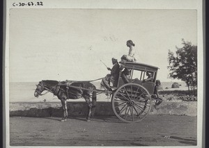 Jatka the Indian carriage with one horse