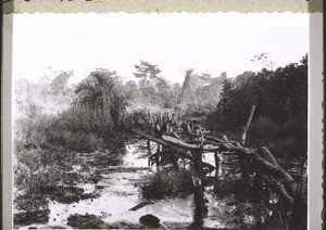 A bridge (about 300-400 metres long) in the swamps of Bandop, which can't be crossed without going in danger of one's life