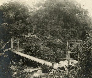 Supended bridge in the forest, in Cameroon