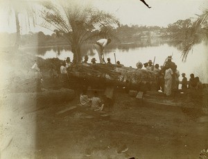 Trunk in the mission station of Lambarene in Gabon