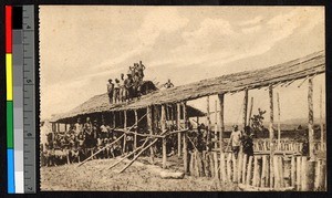 Workers pose by construction site, Kimpangu, Congo, ca.1920-1940