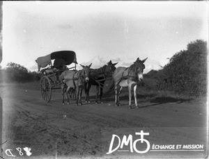 Cart on a road, Limpopo, South Africa, ca. 1901-1915