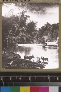 River scene, Sri Lanka, s.d