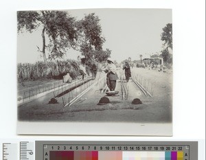 Cotton Spinners, Sialkot, Pakistan, ca.1910