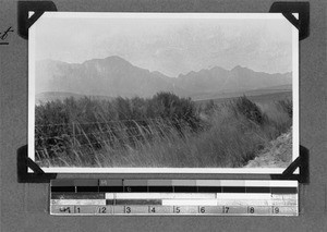 Sonderend Mountains, Genadendal, South Africa, 1930