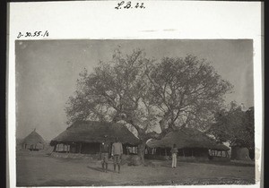 Salzersatzbaum im Rasthof von Djereponi