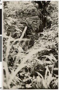 Collapsed bridge near Biittee between Nekemte and Gimbi, Ethiopia, 1928-07-05
