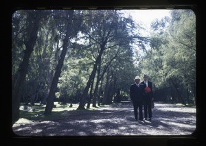 Park, cedar trees, Lake Xochimilco