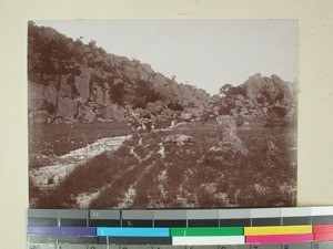 Ambatomenaloha mountains, Madagascar, 1901