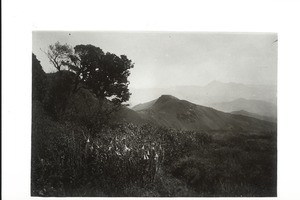 Nebelmeer vom Kudremukh