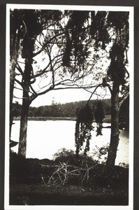 Lake near Ooty