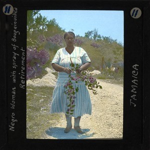 Woman with Spray of Bougainvillea, Jamaica