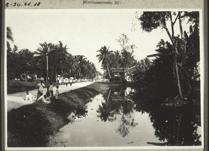 The street leading to the harbour in Bandjermasin