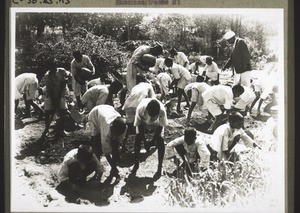 Orphaned boys at work