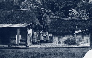 A typical house of the New Hebrides